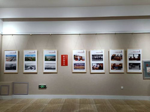 东丰县团委党支部组织观看庆祝改革开放40周年艺术作品展